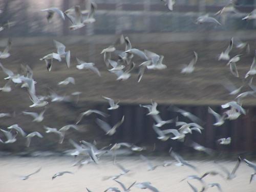 Wenn am Abend im Hafen ...