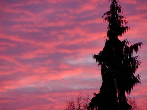 Der war wirklich so kitschig!