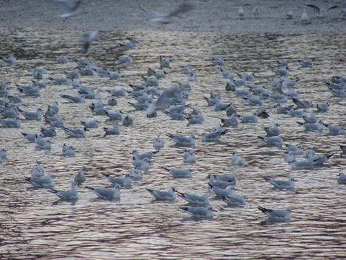 Und noch mal, weils so schön ist