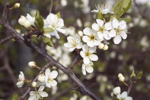 Ok, das hat mich aber wieder versöhnt ...