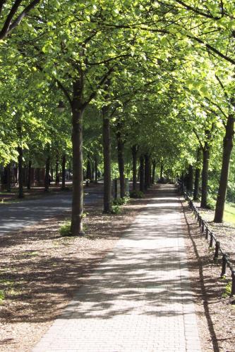 Promenade im Frühling