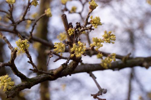 Is jetzt Frühling, oder was?