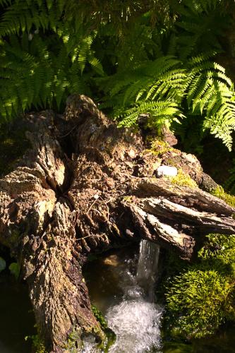 Botanischer Garten Münster