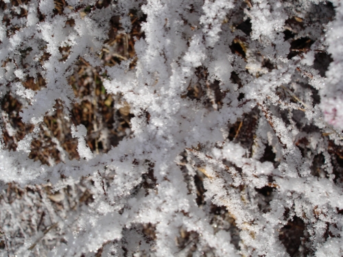 Erste Winterbilder - 2